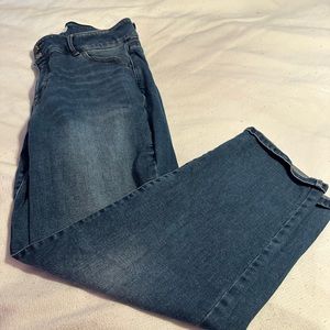 Lane Bryant jeans 18s short 2 button denim